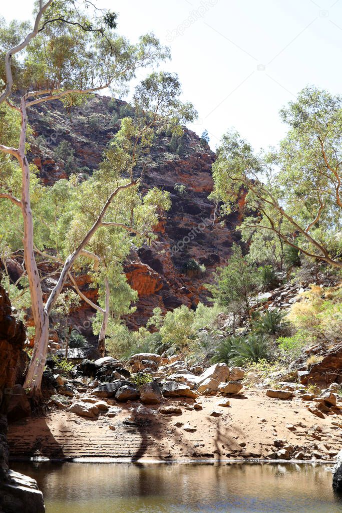 Detail image of Serpentine Gorge in the MacDonnell Ranges near Alice Springs, Northern Territory, Australia featuring orange rock faces and beautiful ghost gum trees