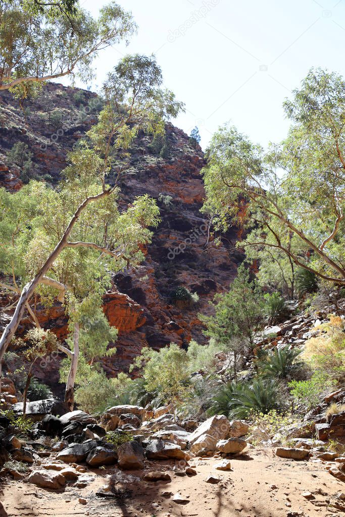 Detail image of Serpentine Gorge in the MacDonnell Ranges near Alice Springs, Northern Territory, Australia featuring orange rock faces and beautiful ghost gum trees