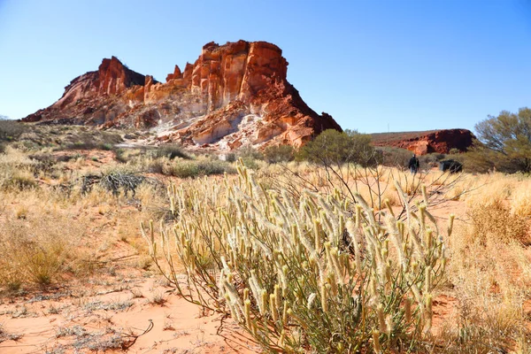 호주의 준주에 놀라운 레인보우 계곡입니다 앨리스 스프링스를 능가하고 오렌지 모래로 — 스톡 사진