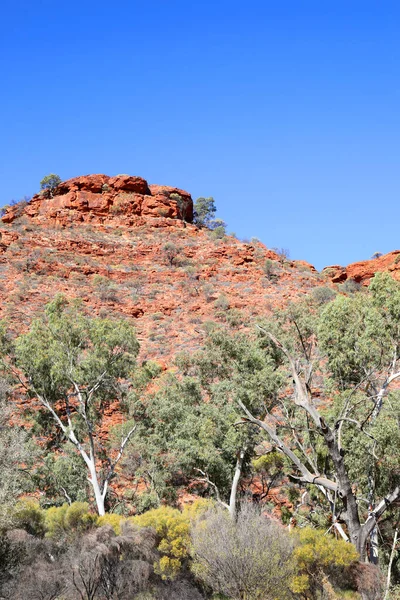 Prachtige Kings Canyon Het Northern Territory Australië Met Prachtige Donkerrode — Stockfoto