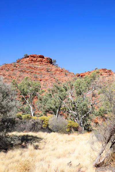 Beautiful Kings Canyon Northern Territory Australia Featuring Amazing Dark Red — Stock Photo, Image