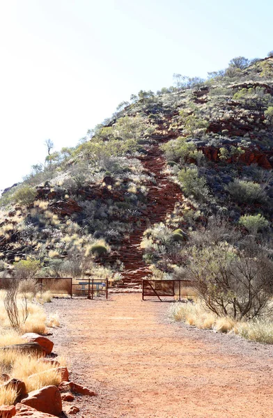 Schöner Kings Canyon Northern Territory Australien Mit Erstaunlichen Dunkelroten Felsformationen — Stockfoto