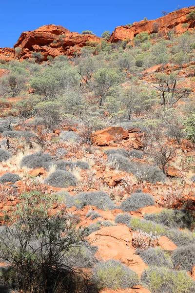 Schöner Kings Canyon Northern Territory Australien Mit Erstaunlichen Dunkelroten Felsformationen — Stockfoto