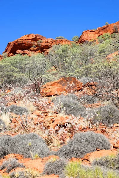 Krásný Kings Canyon Severním Teritoriu Austrálie Představující Úžasné Tmavě Červené — Stock fotografie