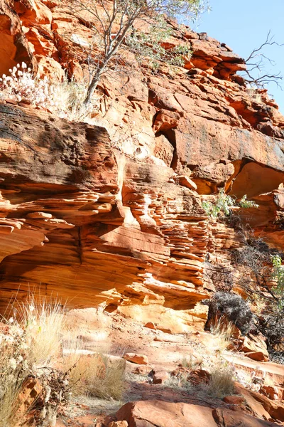 Gyönyörű Kings Canyon Északi Területen Ausztrália Jellemző Csodálatos Sötét Vörös — Stock Fotó