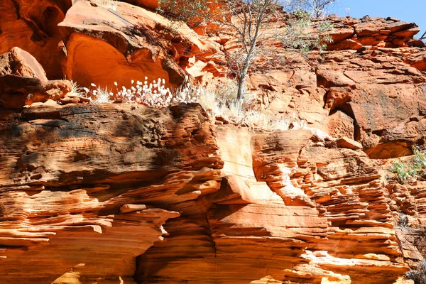 Beautiful Kings Canyon Northern Territory Australia Featuring Amazing Dark Red — Stock Photo, Image