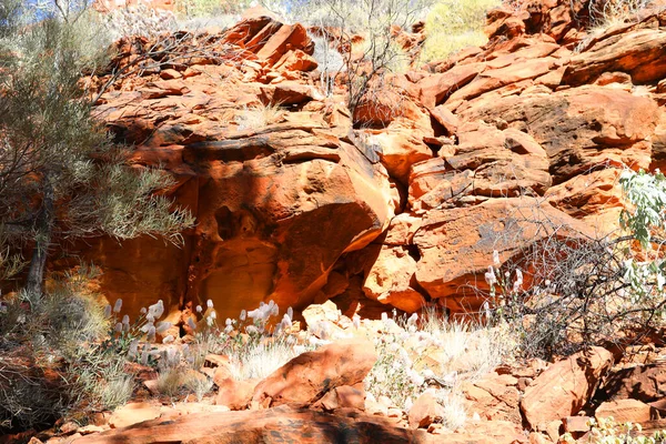 Beautiful Kings Canyon Northern Territory Αυστραλία Εκπληκτικούς Σκουρόχρωμους Βράχους Και — Φωτογραφία Αρχείου
