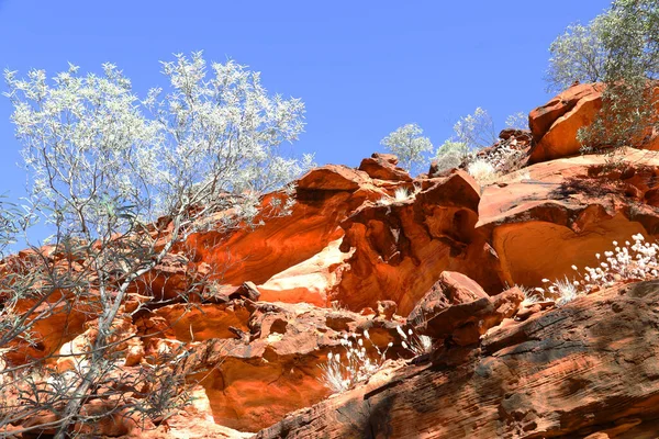 Gyönyörű Kings Canyon Északi Területen Ausztrália Jellemző Csodálatos Sötét Vörös — Stock Fotó