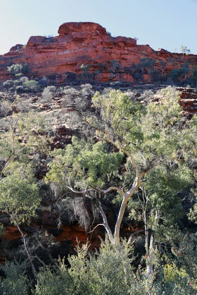 Prachtige Kings Canyon Het Northern Territory Australië Met Prachtige Donkerrode — Stockfoto