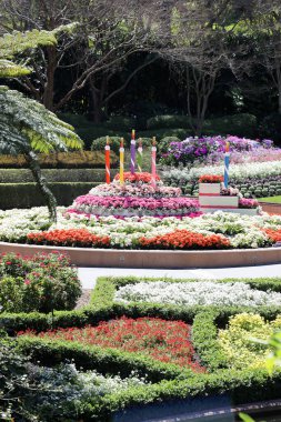 Roma Caddesi Parklands 20. yıldönümlerini kutluyor. Çok çeşitli çiçekler, ağaçlar ve çalılar..