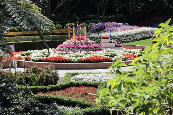 Impresionante Roma Street Parklands Celebrando Aniversario Gran Variedad Flores Árboles — Foto de Stock