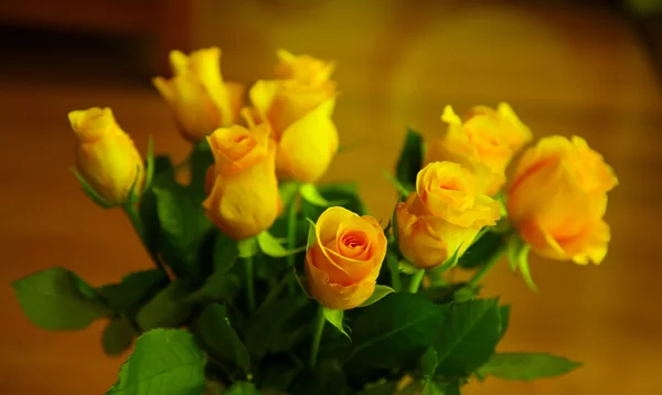 Yellow roses — Stock Photo, Image