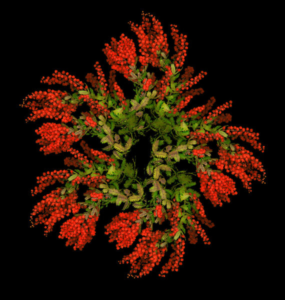 Рождественский венок
