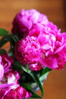 Şakayık çiçekleri