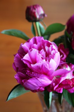 Şakayık çiçekleri