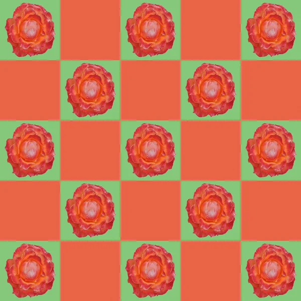 Groene en Oranje Rozen bloemmotief — Stockfoto