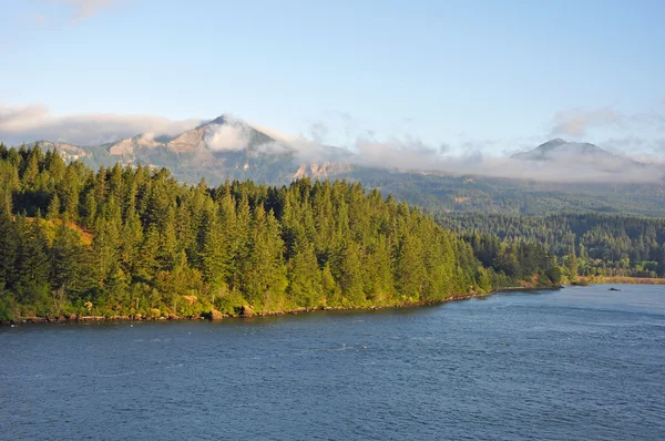 Река Колумбия Орегон США — стоковое фото