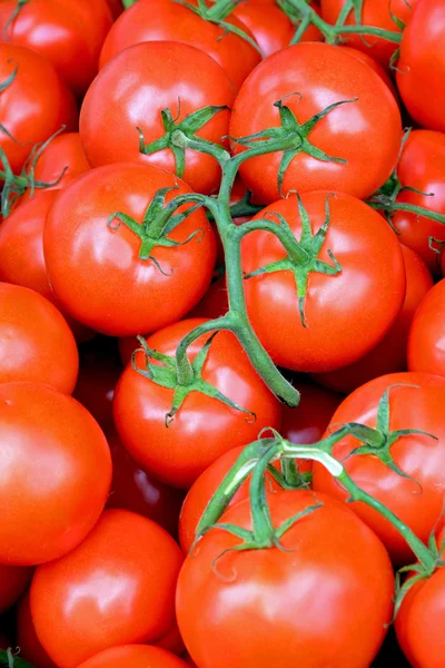 Pomidory czerwone winorośli — Zdjęcie stockowe