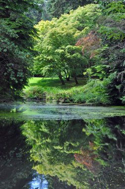 Yeşil yeşil Botanik Bahçesi