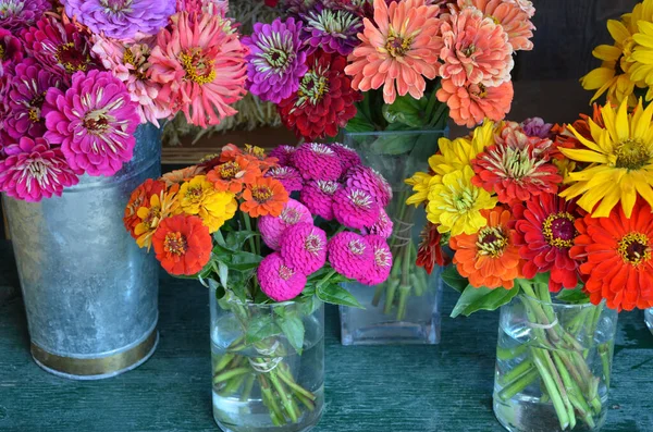 Schöne Bunte Herbstliche Blumenarrangements — Stockfoto