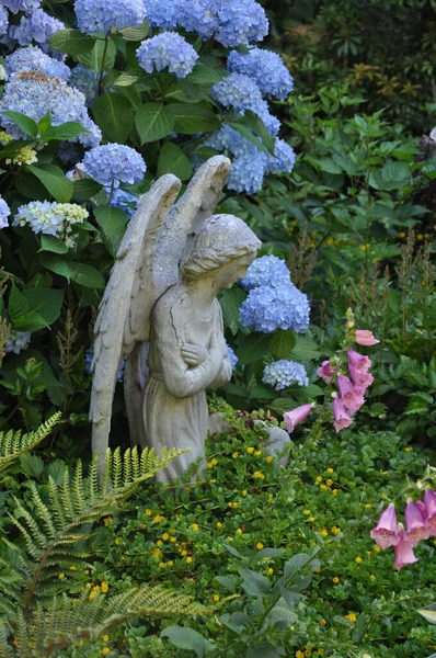 Schöne Engelsstatue Hortensiengarten — Stockfoto