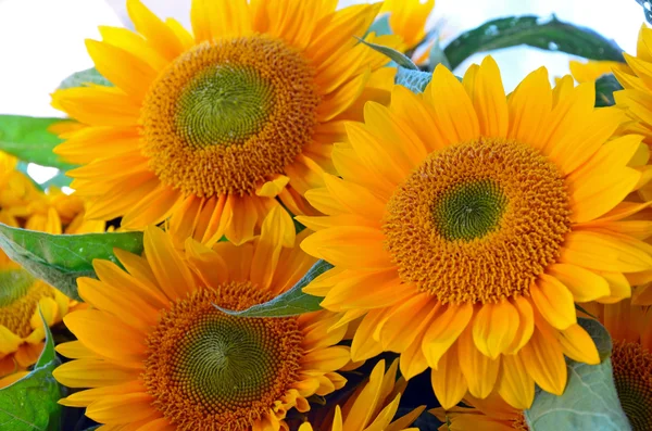 Beautiful yellow sunflowers bouquet — Stock Photo, Image
