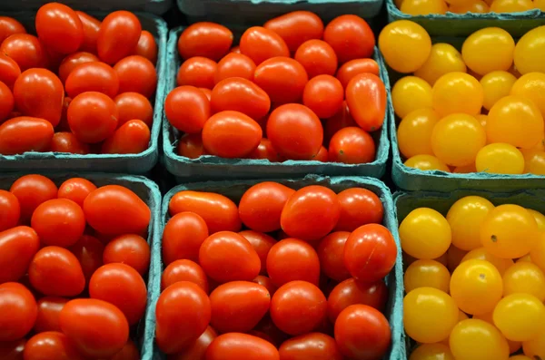 Tomates cerises rouges et jaunes — Photo