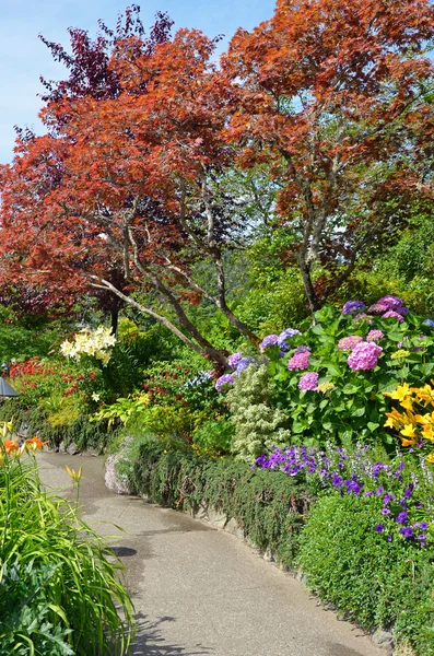 Sommar trädgård väg — Stockfoto