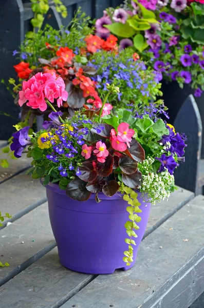 Colorful flowerpot on table Stock Image