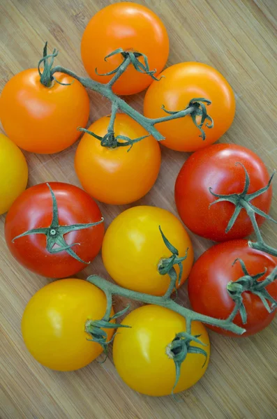 Petites tomates colorées — Photo