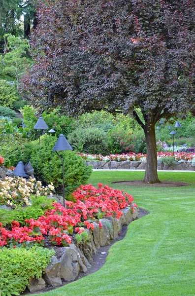 Colorful summer garden park — Stock Photo, Image