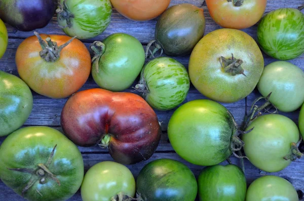 Tomates fraîches colorées — Photo