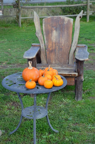 Kürbis Tisch und Stuhl — Stockfoto