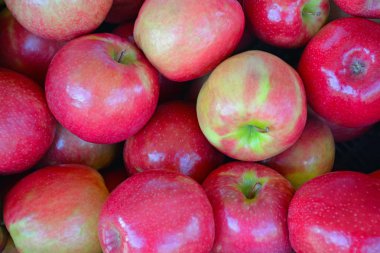 kırmızı ve sarı elmalar