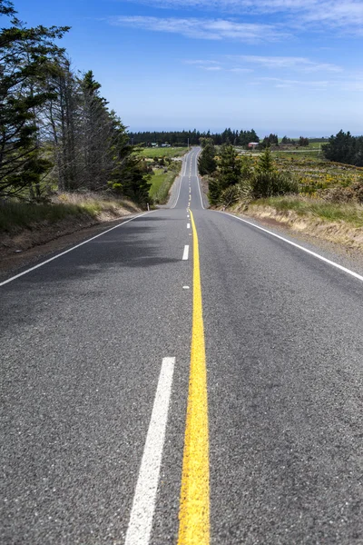 Landweg in Nieuw-Zeeland — Stockfoto