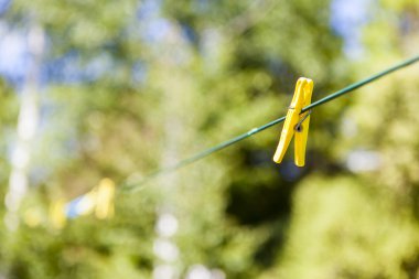 clothesline haritasında mandal