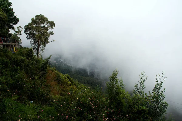 Krajobraz Mgłą Tle Coaker Walk Kodaikanal Tamil Nadu Indie Azja — Zdjęcie stockowe