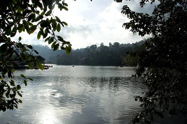 Vista Serena Mattina Atmosfera Nebbiosa Lago Paesaggio Kodaikanal Tamil Nadu — Foto Stock