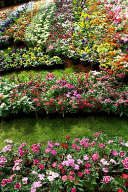 Lalbagh, Bengaluru, Hindistan ve Asya 'daki Cumhuriyet Günü Çiçek Fuarı' nın güzel manzarası.