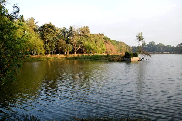Vista Del Lago Agua Los Árboles Verdes Lalbagh Bengaluru Karnataka — Foto de Stock