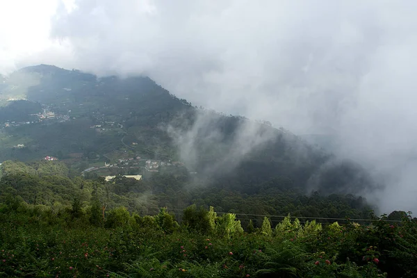 Paisagem Com Nuvens Nebulosas Flutuantes Coaker Walk Kodaikanal Tamil Nadu — Fotografia de Stock