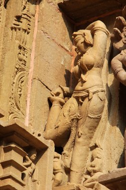 Diken kadar yürüyerek toplama