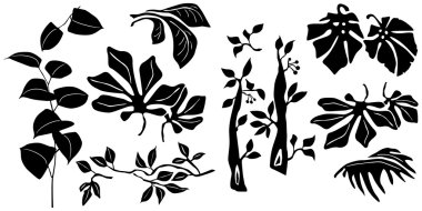 Siyah ve beyaz bitkiler siluetleri toplama tasarımcıları için