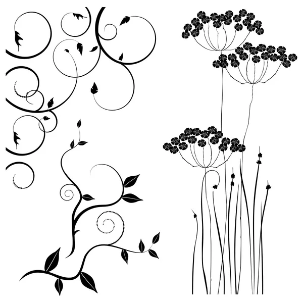 Collectie voor ontwerpers, weide, planten vector set — Stockvector