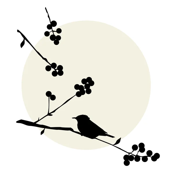 Birds on the branch - set of vector elements — Stock Vector