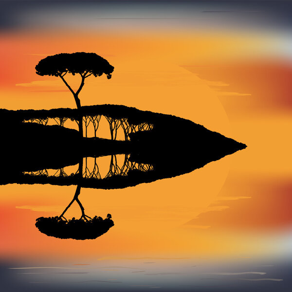 Sunset from the trees and reflect  in the water surface 