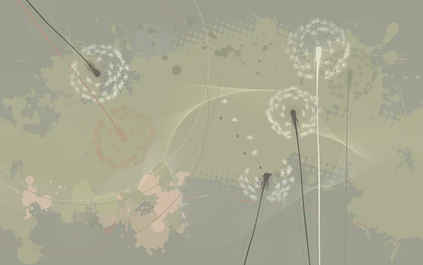 花卉背景，蒲公英-桌面壁纸 — 图库矢量图片