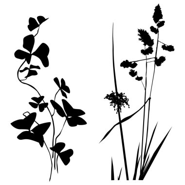 Siyah ve beyaz bitkiler siluetleri toplama tasarımcıları için