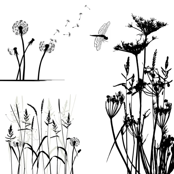 Collectie voor ontwerpers, wilde plant vector — Stockvector