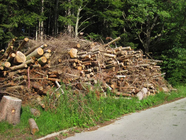 Stapel brandhout — Stockfoto